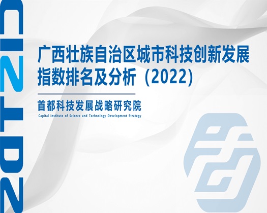 骚女肏逼视频网站【成果发布】广西壮族自治区城市科技创新发展指数排名及分析（2022）